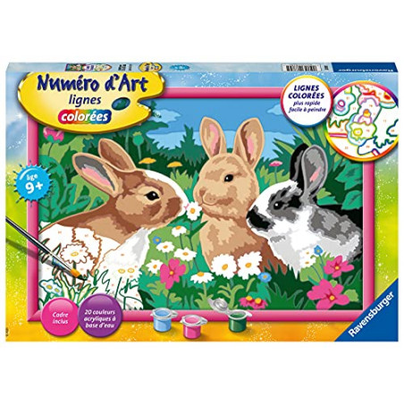 Ravensburger – Numéro d’Art grand format – Lapins dans le pré – Loisir créatif – Kit de peinture par numéros – Activité